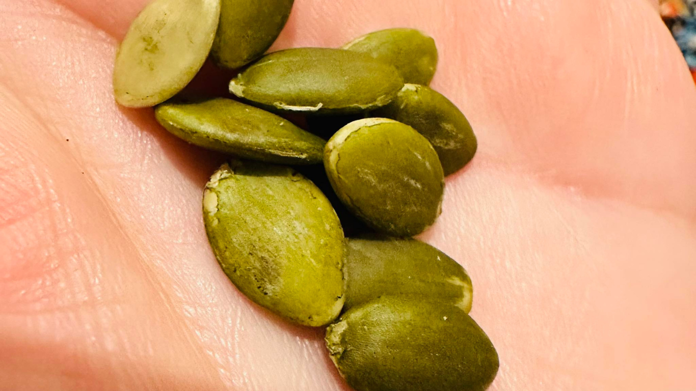 د کدو د زړي ګټې